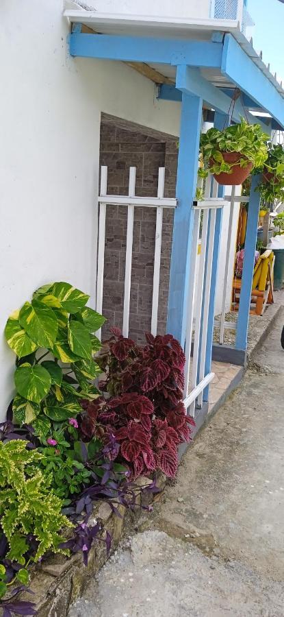 Posada Aleeny Providencia  Екстер'єр фото