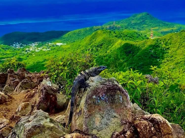 Posada Aleeny Providencia  Екстер'єр фото